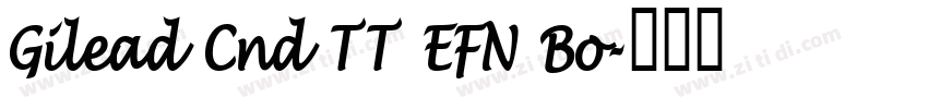 Gilead Cnd TT EFN Bo字体转换 Gilead Cnd TT EFN Bo字体转换